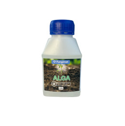 Fungimet Alga