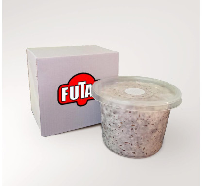Міцелій грибів Futar Ерінгi (Глива степова) зерновий